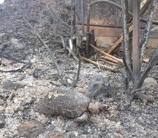 Lyreio, het weeshuis wat in vlammen opging