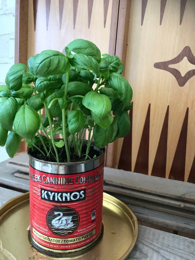 Kyknos Tomatenpuree