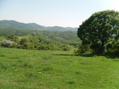 Kali protomagia 2