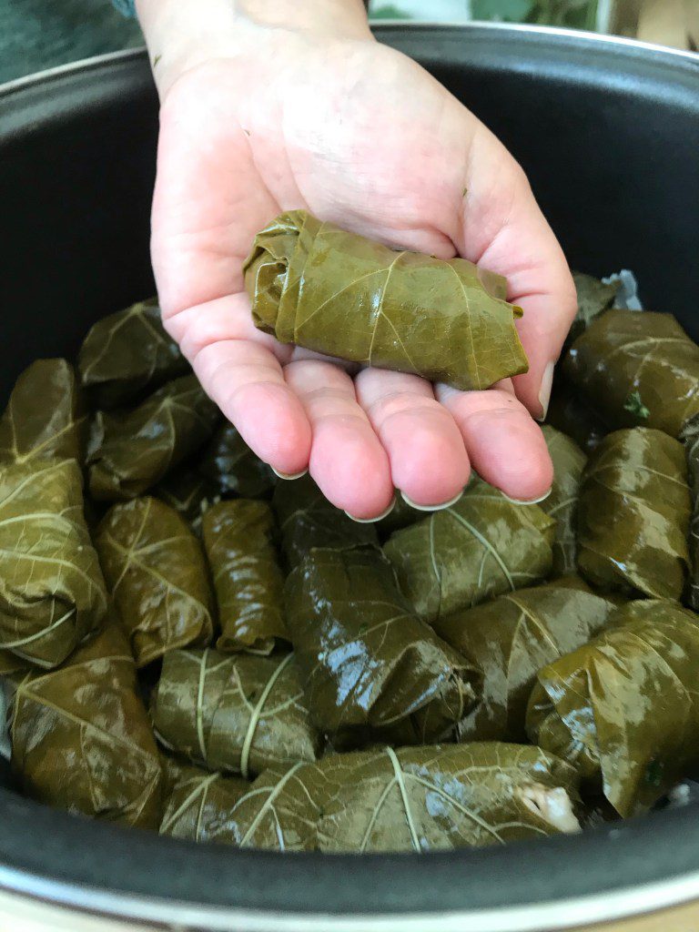 Dolmadakia me kima 2